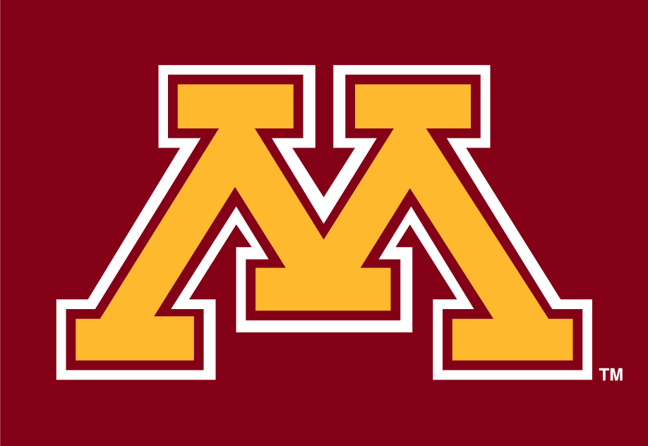 Minnesota Golden Gophers 1986-Pres Alternate Logo v3 diy iron on heat transfer